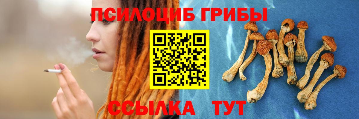 Псилоцибиновые грибы Cubensis Усолье-Сибирское